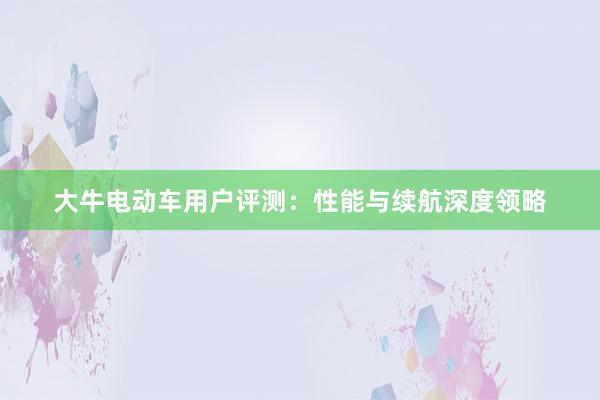 大牛电动车用户评测：性能与续航深度领略